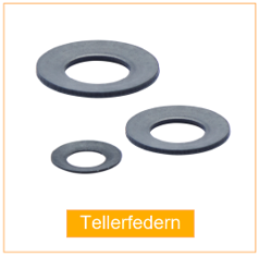 Tellerfedern